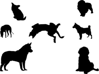 Silhouettes of several dogs