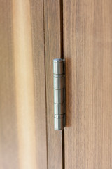 Silver door hinge
