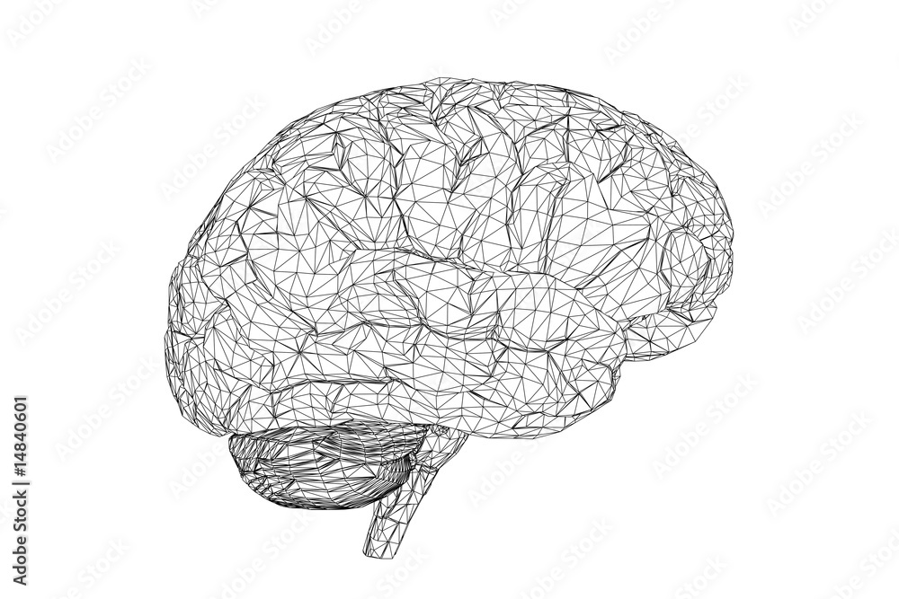 Wall mural 3d view of the human brain