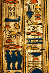 Papyrus