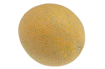 yellow melon