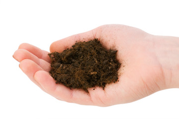 Hand holding handful of soil isolated on white