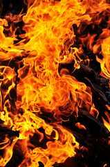 wild fire