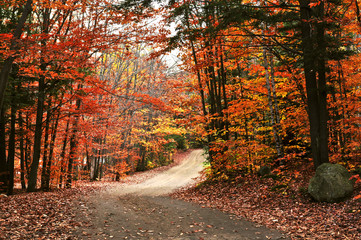 Autumn landscape with a path