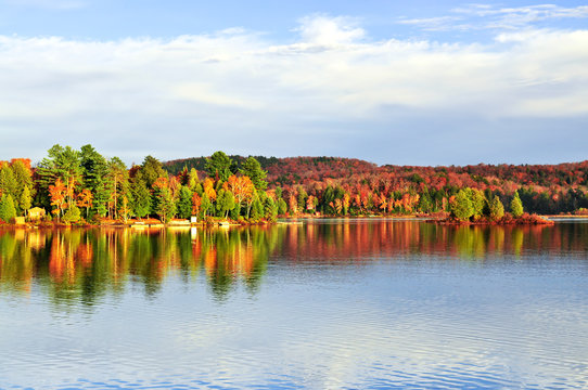 Fall forest reflections