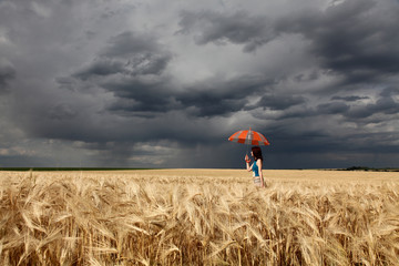 girl with umbrella at wheat field in rainy day