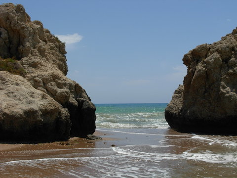 roccie