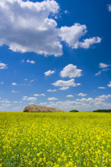 Obraz premium picturesque rural landscape