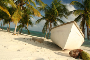 Desert Island castaway