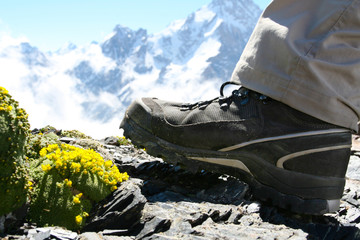 Hiker shoes