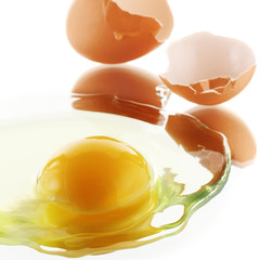 Egg