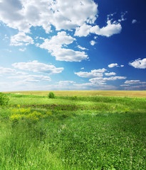 Green meadow and blue sky with clouds