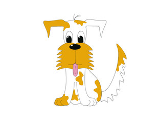 Mix white and brown dog