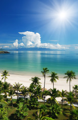 Beach Scene