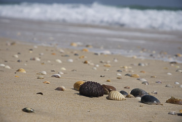 am Strand