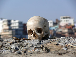 human skull on the ground