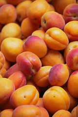 Abricots au marché
