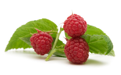 bio fresh raspberry on white background