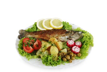 baked  trout