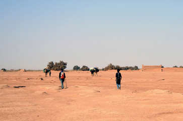 Fototapeta na wymiar randonneurs dans le désert