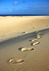 footprints up to sandy dunes