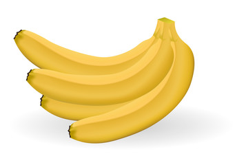Four bananas isolated. Vector illustration.