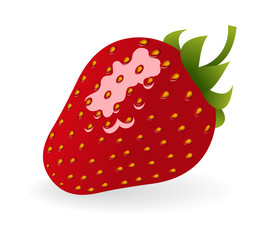 One strawberry on white background.