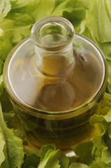 Olio d oliva e radicchio