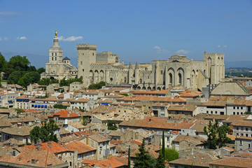 Fototapeta premium Avignon vue du ciel