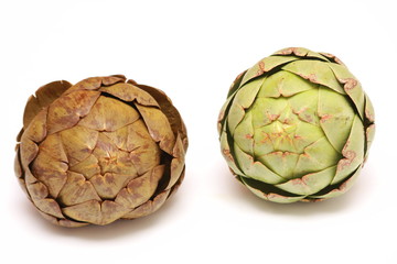 Obraz premium artichaut