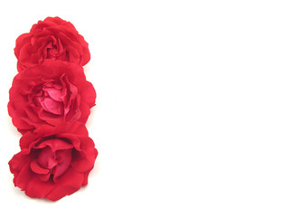 Drei rote Rosen an der linken Seite eines weißen Hintergrundes