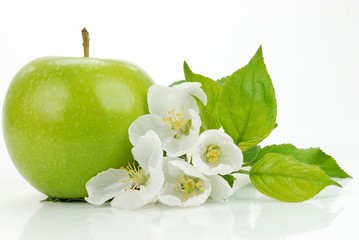 Green apple with flowers on the white