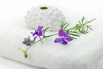 purple flower and seashell on towel