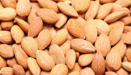 apricot kernels