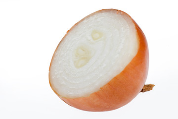 Onion