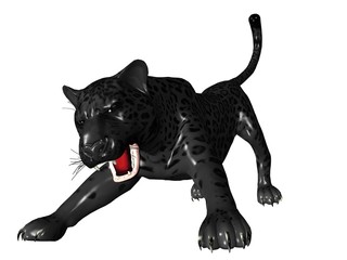 Agressive black panther front view