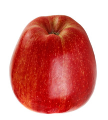 perfect red apple