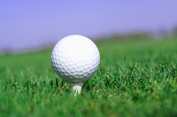 Golf ball in tall green grass