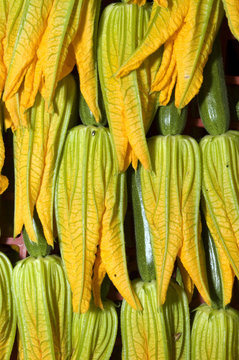 flor del calabacin