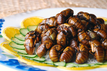 china delicious food--fried cicada