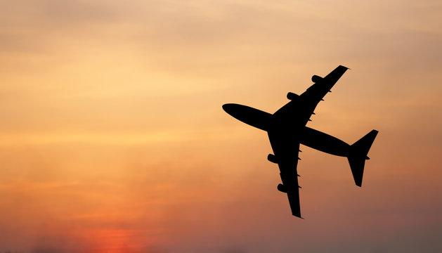 Bird And Plane Flying Black Silhouette Composition