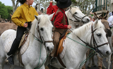 jeunes cavaliers © helenedevun