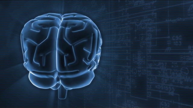 3D rotating brain on infographic background. Seamless loop.