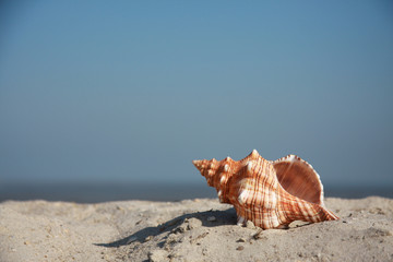 am Meer