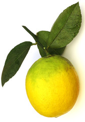 citron de Menton