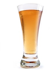 glass of beer