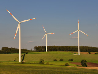 Fototapeta premium Windräder