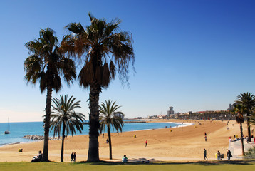 Barcelona beach spain