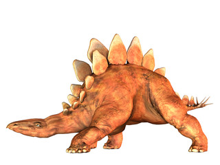 Stegosaurus