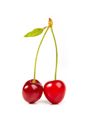 sweet red cherry with leaves isolated on white
